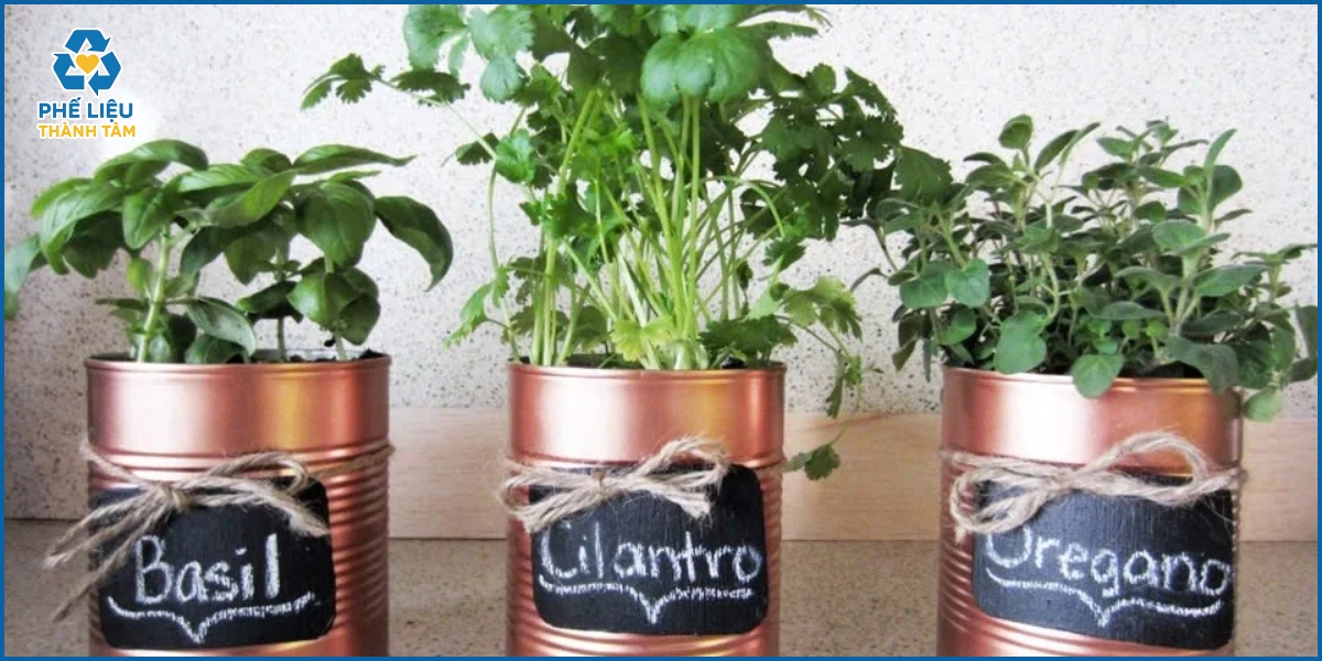 Các cách làm chậu hoa theo từng loại phế liệu