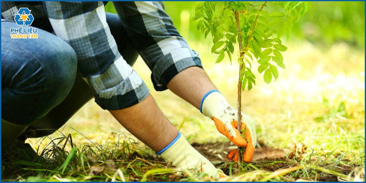 Các hoạt động hưởng ứng Ngày Trái Đất tại Việt Nam