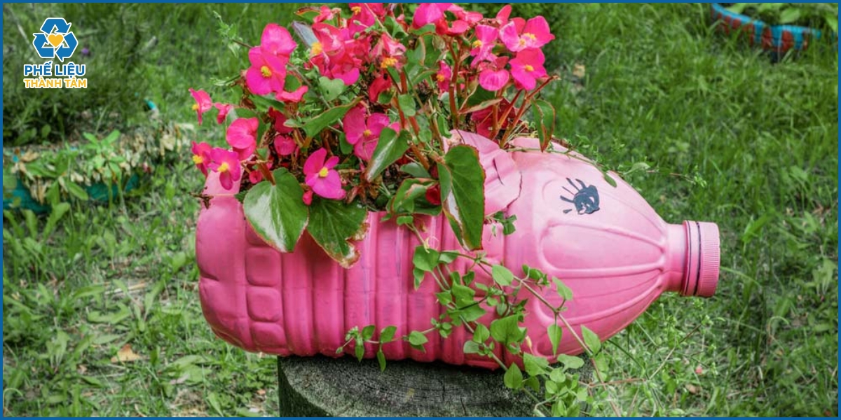 Lợi ích khi tự làm chậu hoa từ phế liệu